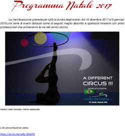 Programma Natale 2017 - Cicas Italia