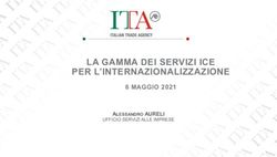 LA GAMMA DEI SERVIZI ICE PER L'INTERNAZIONALIZZAZIONE - 6 MAGGIO 2021 ALESSANDRO AURELI
