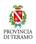 REGOLAMENTO PER L'APPLICAZIONE DEI CANONI PER L'OCCUPAZIONE DI SPAZI ED AREE PUBBLICHE E DEI CANONI NON RICOGNITORI - Approvato con Deliberazione ...