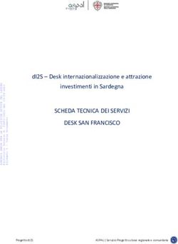 SCHEDA TECNICA DEI SERVIZI DESK SAN FRANCISCO