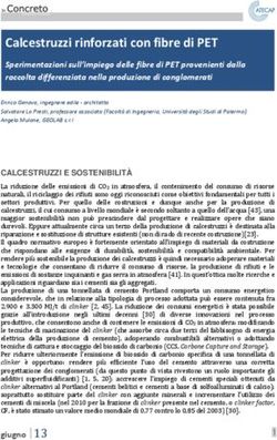 Calcestruzzi rinforzati con fibre di PET