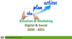 Soluzioni di Marketing Digital & Social 2020 2021 - www.worldfineselections.com - Abano Terme