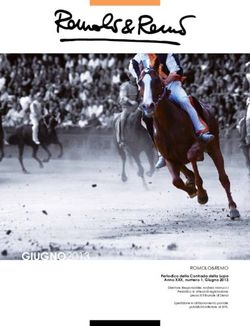 GIUGNO2013 - Contrada della Lupa