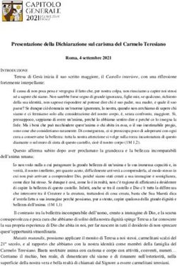 Presentazione della Dichiarazione sul carisma del Carmelo Teresiano - Karmel.hr