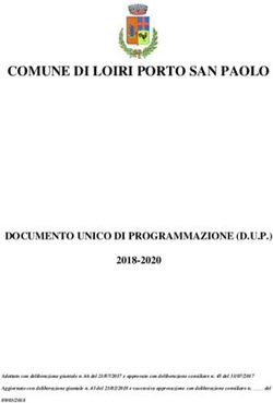 COMUNE DI LOIRI PORTO SAN PAOLO - DOCUMENTO UNICO DI PROGRAMMAZIONE (D.U.P.)