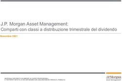 J.P. Morgan Asset Management: Comparti con classi a distribuzione trimestrale del dividendo - Novembre 2021