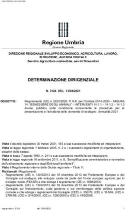 DETERMINAZIONE DIRIGENZIALE - Regione Umbria