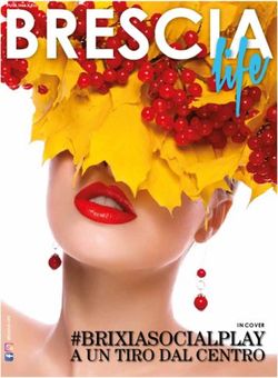 BRESCIA - #BRIXIASOCIALPLAY A UN TIRO DAL CENTRO - Publimax