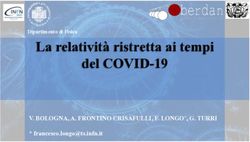 La relativit&agrave; ristretta ai tempi del COVID-19 - V. BOLOGNA, A. FRONTINO CRISAFULLI, F. LONGO*, G. TURRI