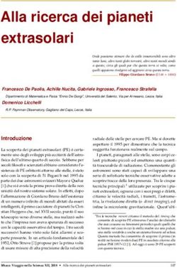 Alla ricerca dei pianeti extrasolari - Semantic Scholar