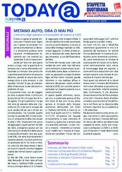 Metano auto, ora o Mai più - Oil&nonoil