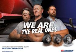 PNEUMATICI AUTOCARRO & BUS BROCHURE GAMMA 2018 - autocarro.bfgoodrich.it - Leonardi (S.N.C.)