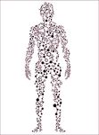 Body Therapy 2020 . 2021 - Formazione modulare integrata in - istituto sviluppo interazione k&agrave;ris