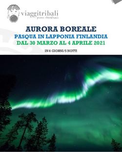 AURORA BOREALE PASQUA IN LAPPONIA FINLANDIA DAL 30 MARZO AL 4 APRILE 2021 - IN 6 GIORNI/5 NOTTI - Viaggi Tribali
