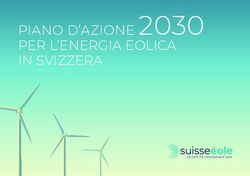 PIANO D'AZIONE 2030 PER L'ENERGIA EOLICA IN SVIZZERA