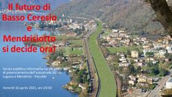 Il futuro di Basso Ceresio e - Mendrisiotto si decide ora! Serata pubblica informativa sul progetto di potenziamento dell'autostrada N2 tra Lugano ...