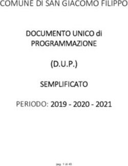 COMUNE DI SAN GIACOMO FILIPPO (D.U.P.) - PROGRAMMAZIONE SEMPLIFICATO PERIODO: 2019 2020 - 2021 DOCUMENTO UNICO di
