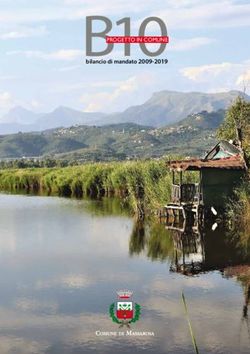 B10PROGETTO IN COMUNE - bilancio di mandato 2009-2019 - Comune di Massarosa