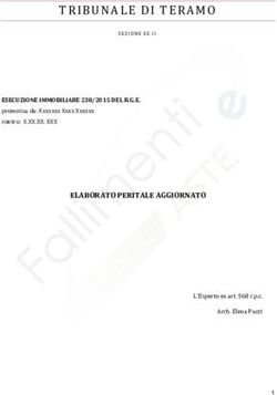 TRIBUNALE DI TERAMO - ELABORATO PERITALE AGGIORNATO ESECUZIONE IMMOBILIARE 238/2015 DEL R.G.E - Fallimenti e Aste