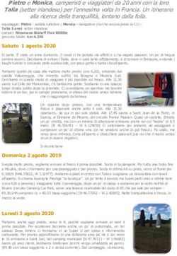 Pietro e Monica, camperisti e viaggiatori da 20 anni con la loro Talia (setter irlandese) per l'ennesima volta in Francia. Un itinerario