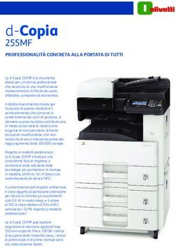 D-Copia 255MF PROFESSIONALIT&Agrave; CONCRETA ALLA PORTATA DI TUTTI - Olivetti