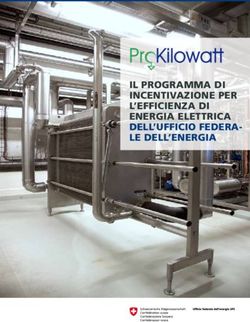 IL PROGRAMMA DI INCENTIVAZIONE PER L'EFFICIENZA DI ENERGIA ELETTRICA DELL'UFFICIO FEDERA LE DELL'ENERGIA