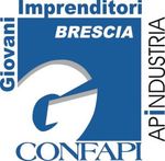 GGI GRUPPO GIOVANI IMPRENDITORI APINDUSTRIA BRESCIA