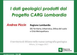 I dati geologici prodotti dal Progetto CARG Lombardia - Andrea Piccin