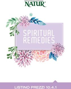 SPIRITUAL REMEDIES - LISTINO PREZZI 10.4.1 - Natur srl