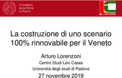 La costruzione di uno scenario 100% rinnovabile per il Veneto - Arturo Lorenzoni Centro Studi Levi Cases - Unipd