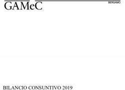 BILANCIO CONSUNTIVO 2019 - GAMEC