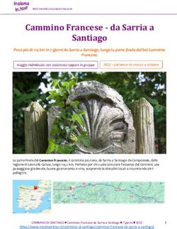 Cammino Francese - da Sarria a Santiago - Insiemeintour