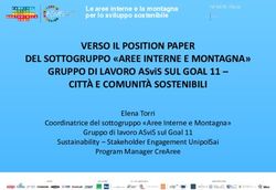 VERSO IL POSITION PAPER DEL SOTTOGRUPPO "AREE INTERNE E MONTAGNA" GRUPPO DI LAVORO ASviS SUL GOAL 11