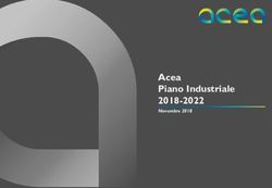 Acea Piano Industriale 2018-2022 - Novembre 2018 - Gruppo Acea
