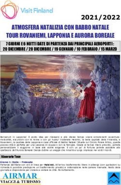 ATMOSFERA NATALIZIA CON BABBO NATALE TOUR ROVANIEMI, LAPPONIA E AURORA BOREALE