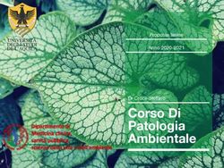 Corso Di Patologia Ambientale - Proposte tesine Anno 2020-2021 - I save my planet