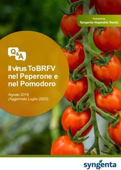 IL VIRUS TOBRFV NEL PEPERONE E NEL POMODORO - AGOSTO 2018 (AGGIORNATO LUGLIO 2020) - SYNGENTA ITALIA