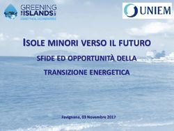 ISOLE MINORI VERSO IL FUTURO - SFIDE ED OPPORTUNITÀ DELLA TRANSIZIONE ENERGETICA Favignana, 03 Novembre 2017 - UNIEM