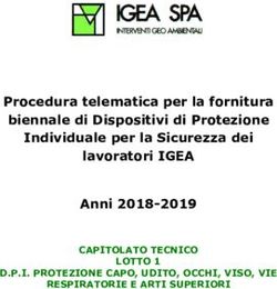 Procedura telematica per la fornitura biennale di Dispositivi di Protezione Individuale per la Sicurezza dei lavoratori IGEA Anni 2018-2019 ...