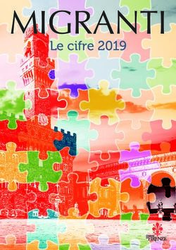 MIGRANTI Le cifre 2019 - Comune di Firenze
