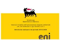 Attivit&agrave; da realizzare nel periodo 2018-2020 - Versalis spa Stabilimento di Mantova Istanza di modifica dell'autorizzazione integrata ambientale ...