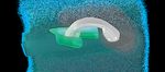 Opalescence Il leader nello sbiancamento dentale - SBIANCAMENTO DENTALE - 3D DENTALSHOW