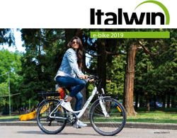 E-bike 2019 - www.italwin.it