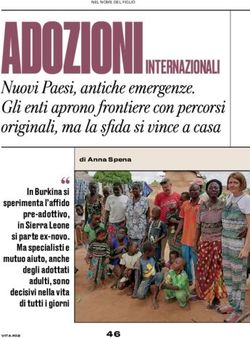 ADOZIONI INTERNAZIONALI - Nuovi Paesi, antiche emergenze. Gli enti aprono frontiere con percorsi originali, ma la sfida si vince a casa