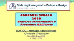 CONCORSI SCUOLA 2020 Concorso Straordinario e Procedura Abilitante - ROVIGO - Meeting in videoconferenza - Gilda Padova