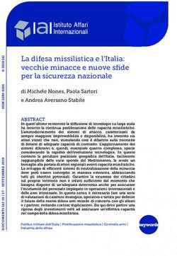 La difesa missilistica e l'Italia: vecchie minacce e nuove sfide per la sicurezza nazionale - Iai
