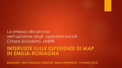 INTERVISTE SULLE ESPERIENZE DI MAP IN EMILIA-ROMAGNA - La "messa alla prova" nell'opinione degli operatori sociali Chiara Scivoletto, UNIPR ...