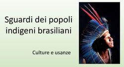 Sguardi dei popoli indigeni brasiliani - Culture e usanze - Anna Conti