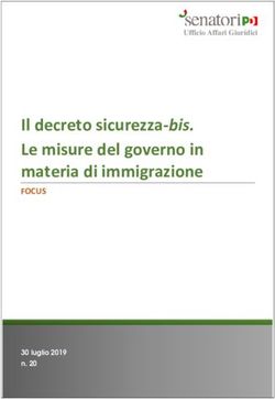Il decreto sicurezza-bis. Le misure del governo in materia di immigrazione - FOCUS - Senatori PD
