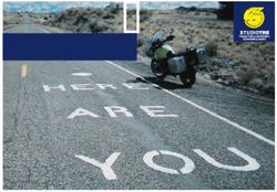 CURIOSIT&Agrave; STUDIOTRE - Creathead